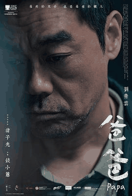 无敌电影网_《爸爸》电影海报在线看